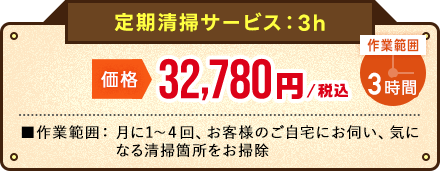 定期清掃サービス(3H)オファー価格